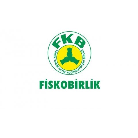 FİSKOBİRLİK-EFİT GİRESUN 